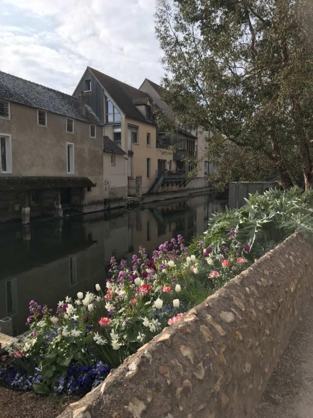 T3 De 55M2 Au Centre De Chartres Avec Parking Apartment Luaran gambar